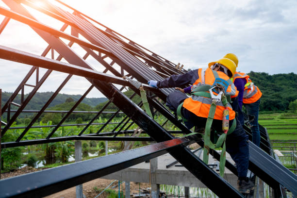 Best Roof Gutter Cleaning  in Gate City, VA